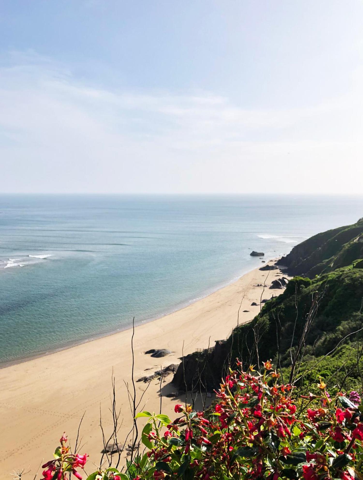 Cosy Beachside Cottage Bigbury Екстериор снимка